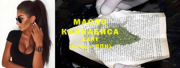 МДПВ Ельня