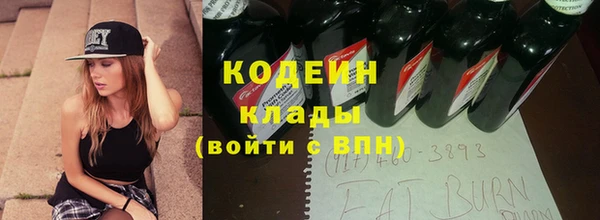 МДПВ Ельня