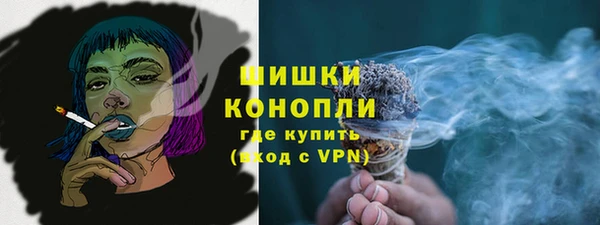 МДПВ Ельня