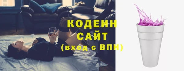 мет Елизово