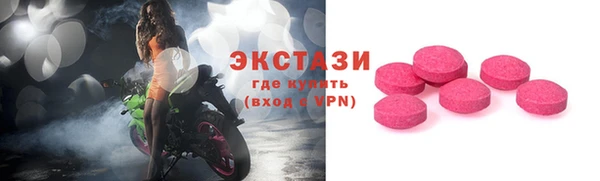 МДПВ Ельня