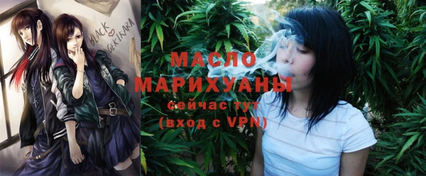 МДПВ Ельня