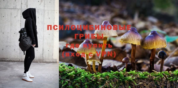 МДПВ Ельня