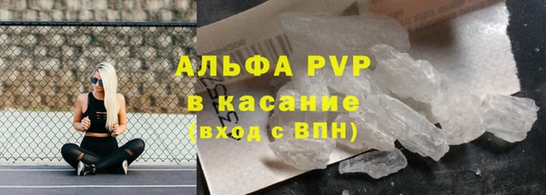 МДПВ Ельня