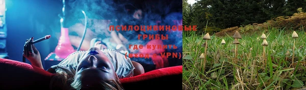мет Елизово