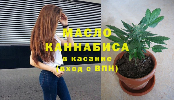 МДПВ Ельня
